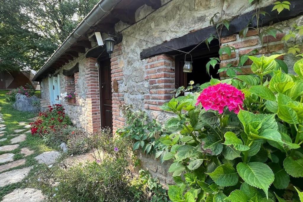 Los Acebos De Pena Cabarga, Cupula Experiencias Sobremazas Екстер'єр фото